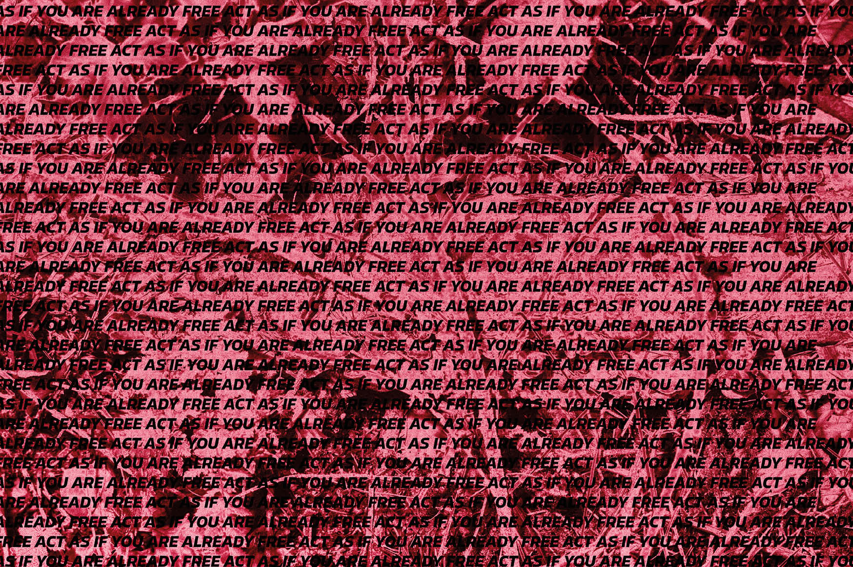 Zine Image 2